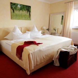 Superior Kamer met een King Size Bed